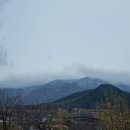 구례군청 | 봄꽃 여행 전남 구례 산수유 꽃축제 여행 후기