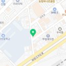 대경로 소나무 이미지