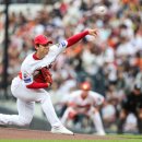 스마일독 이미지