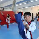 푸른빛 태권도장 이미지