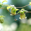 무장초등학교 이미지