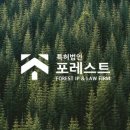 특허법인대한서