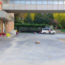 서울고명초등학교 이미지