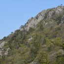 유천1제 이미지