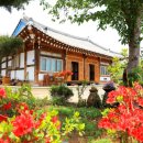 꽃과 한옥 이미지