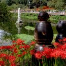 용천사입구 이미지