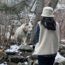 운교산방 이미지