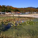 지곡(후곡) 이미지