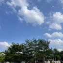 금산오락실 | [춘천 캠핑장 추천] 박사마을 어린이 글램핑장 - 어린이와 함께 가고 싶은 1대장 캠핑장!