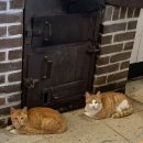 보광산관광농원 이미지