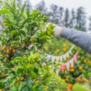 동산농장(1) 이미지