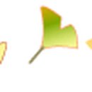 용산-이촌-1465 이미지