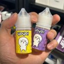 스카이 전자 이미지