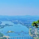 서유5호 이미지