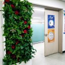 안양시청 이미지