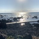 호텔 섬오름 이미지