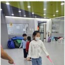 동영태권도 - 강남구 광평로10길 50 | 동영태권도
