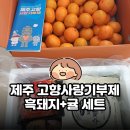 내고향반찬마트 | 연말정산 필살기 | 제주 고향사랑기부제 10만원 기부...흑돼지+귤 세트 받은 솔직 후기 (배송기간, 구성)