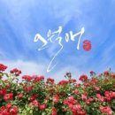 캘리그라피오월