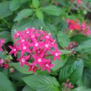 아림농장 이미지