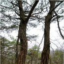 사기막리 이미지