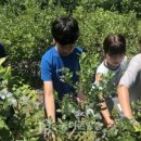 수명농장 이미지