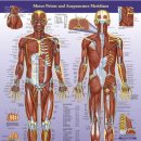 남천한의원 이미지