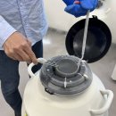 자원한우 이미지