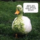 신곡노을공원 화장실 | 2023 렛츠락페스티벌
