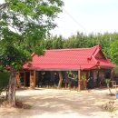 자연을 닮은 소박한 집 이미지