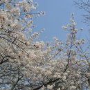 영복여자고등학교 이미지