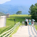 정선스테이 이미지