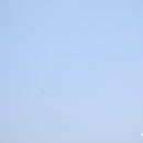 공지천 산책로 이미지