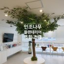 고운빛의원 이미지