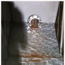 크린홈케어 이미지