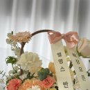 놀개먹개자개 이미지