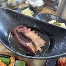 코지목장 이미지