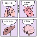 (주)애니힐 | 감옥에~서 누가돌아왔~게~