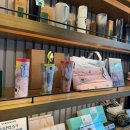 스타벅스 충북증평점 | 스타벅스 미피 콜라보MD 실물후기 가방 텀블러 코스터