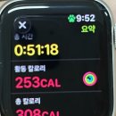 11650-16-173-18 | 2026년 3월 16일 ~22일 | 먹고, 쓰고, 즐기니 행복이다