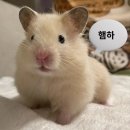 스폿라이트 이미지