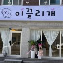 이끌리개 이미지