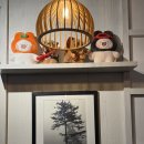 솔잎아래 | [제주 시청 맛집] 새벽까지 열려있는 혼술 성지, '솔잎' 모듬사시미 2인 후기