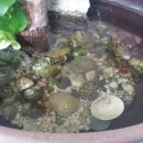 김옥열할매촌 이미지