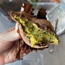 4377 | 쿠키~ 두!바!이!🍫🍪🍩/유명한 두바이 쫀득쿠키 지점 후기/✔️온호프베이크샵 안산점/구움 카페 안산/맛나...