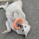 대찬특장공업 이미지