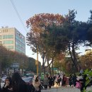 진명허브 이미지