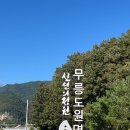 블루밍캠프 이미지