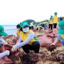 동해환경 이미지