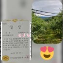 광우농장 이미지